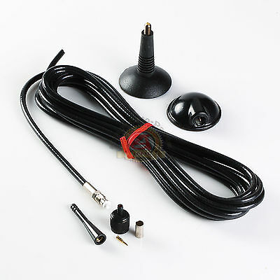 12FT MOTOR CAR GLASS MOUNT SPIKE