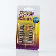 Load image into Gallery viewer, 5 x Glass Fuse 40 AMP Silver Tips AGU40
